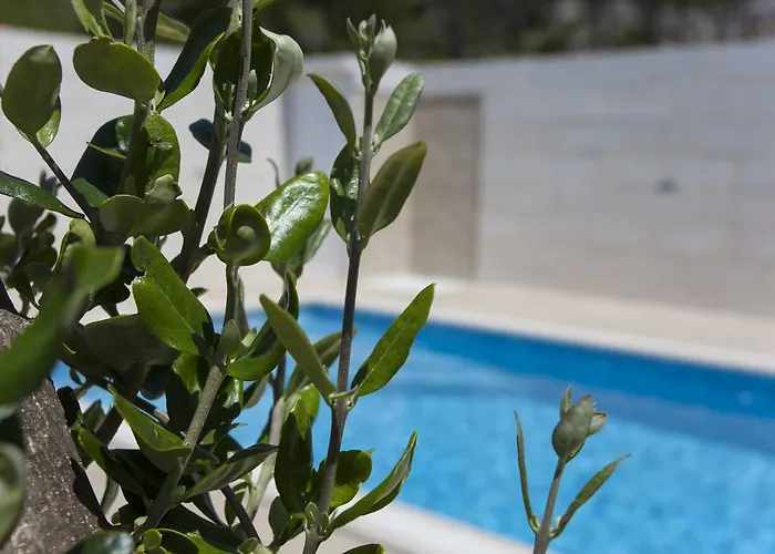 Marco * מאקרסקה